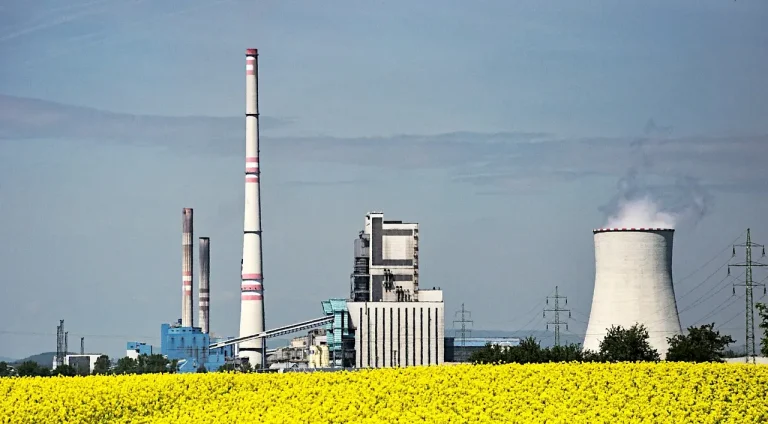 The Future Of Biomass Energy In Australia