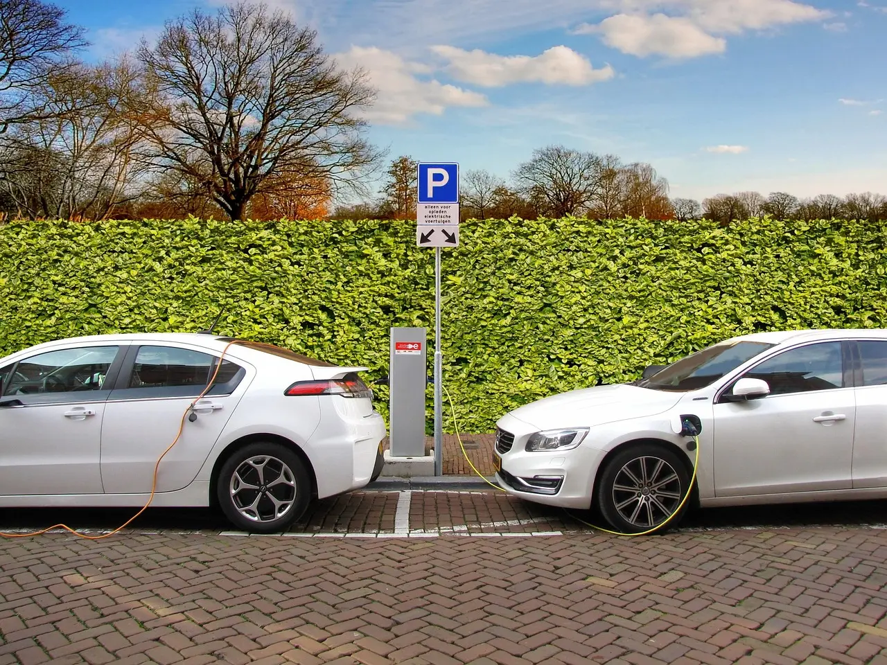 Two Electric Cars Charging at a Parking Station