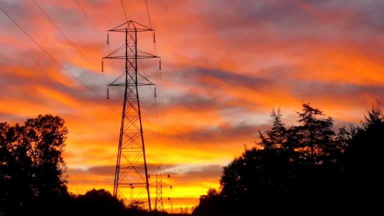 The Capacity Investment Scheme, explained