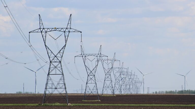 Is the Capacity Investment Scheme quietly picking winners?