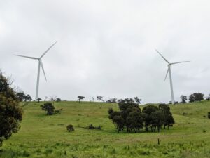 Squadron Energy: Andrew Forrest’s renewables bet, assessed