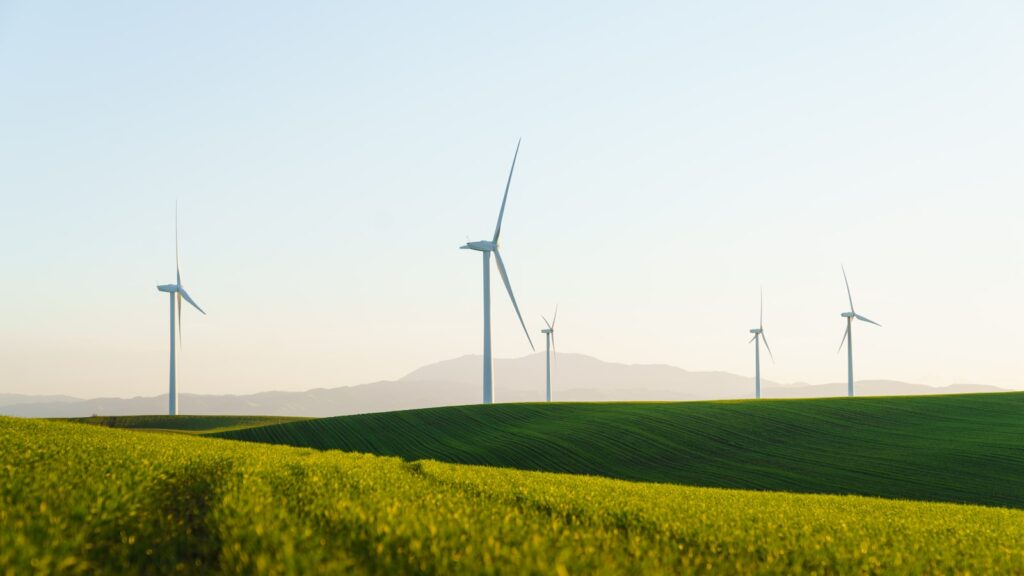 Illawarra offshore wind zone: BlueFloat’s status, minus the render