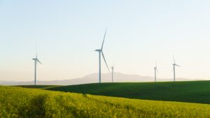 Illawarra offshore wind zone: BlueFloat’s status, minus the render