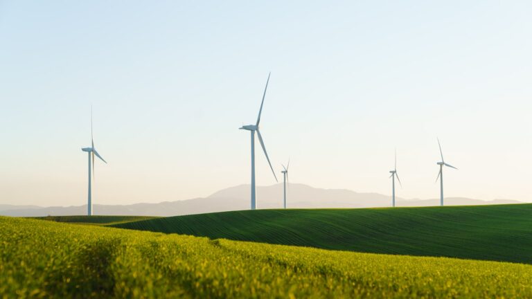 Illawarra offshore wind zone: BlueFloat’s status, minus the render