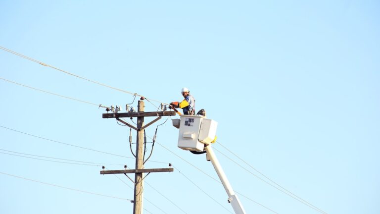 Transmission versus distribution: who owns the poles and wires