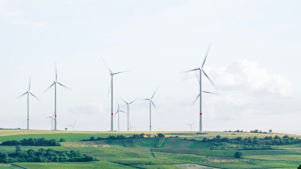 Illawarra offshore wind: the zone shrank, BlueFloat didn’t
