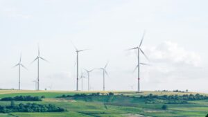 Illawarra offshore wind: the zone shrank, BlueFloat didn’t