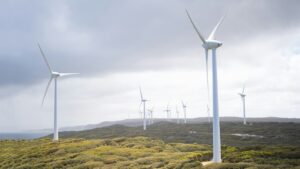 Onshore vs offshore wind: the grid connection test