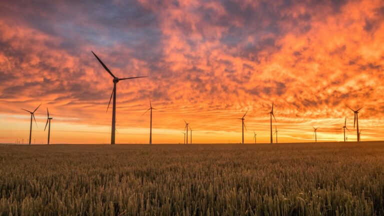 Neoen Australia: the battery pioneer now building wind at scale