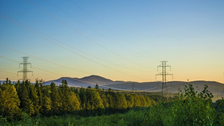 VNI West: the interconnector stuck in a paddock dispute